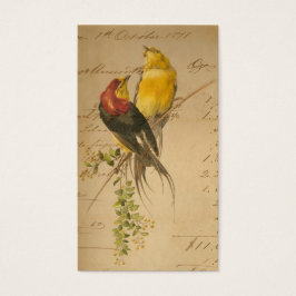 Papel de Aves Vintage y Libro Mayor