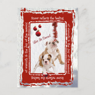Papel de bulldog deja que nieve #2 tarjeta postal