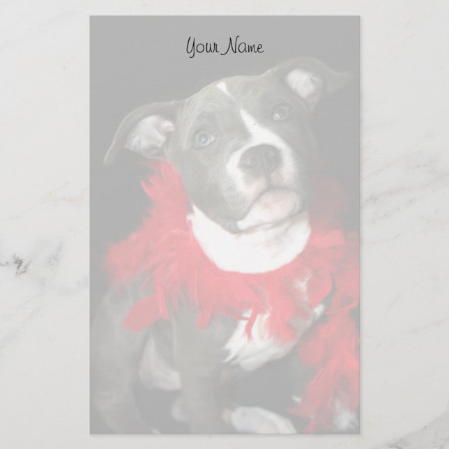 Papel de cachorro de Pitbull (Anverso)