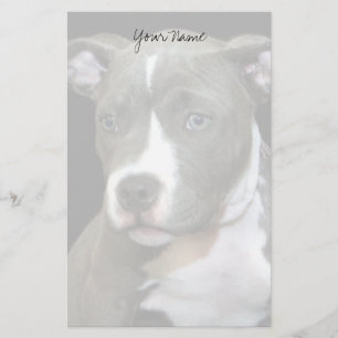 Papel de cachorro de Pitbull