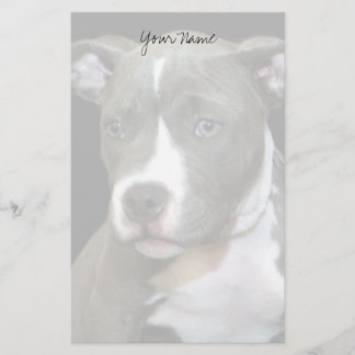 Papel de cachorro de Pitbull