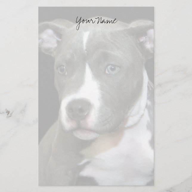Papel de cachorro de Pitbull (Anverso)