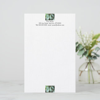 Papel de Carta Hojas de Jardín