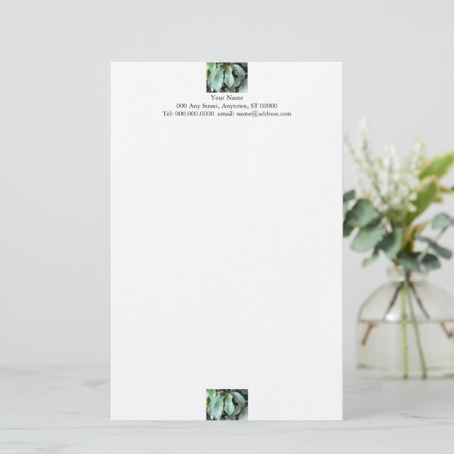 Papel de Carta Hojas de Jardín (Anverso de pie)