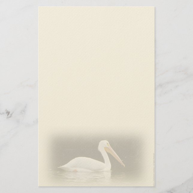 Papel de carta personal Pelícano Blanco (Anverso)