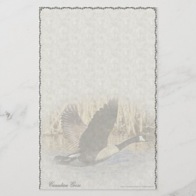 Papel de carta personalizado de ganso canadiense (Anverso)