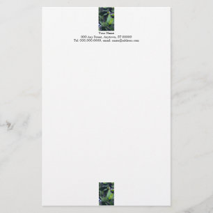 Papel de cartas de hojas esculturales