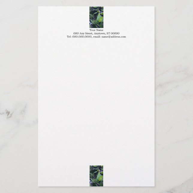 Papel de cartas de hojas esculturales (Anverso)