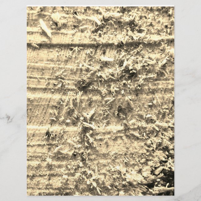 Papel de corte duro (Anverso)