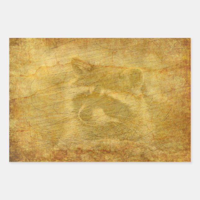 Papel de cosecha de racoon (Anverso)
