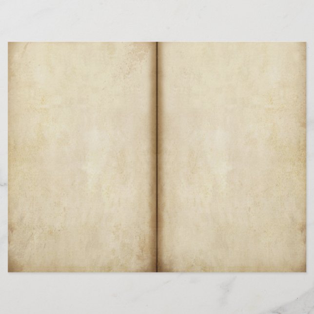 Papel de cuaderno de páginas del Diario de pergami (Anverso)