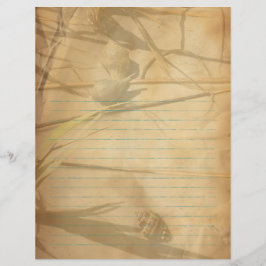 Papel de Cuaderno Rayado Vintage Conchas en Hierba