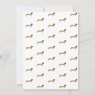 Papel de Dachshund