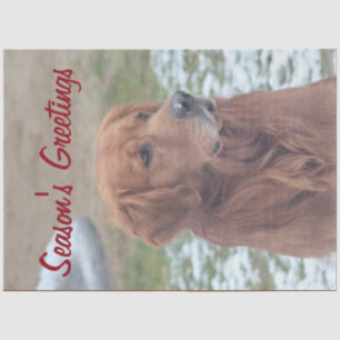 Papel de debate de saludos de temporada de perros 