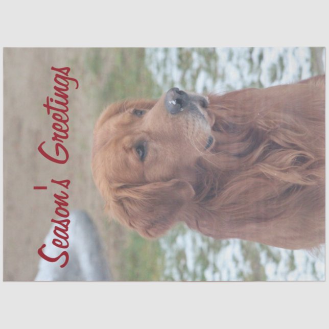 Papel de debate de saludos de temporada de perros  (Anverso)