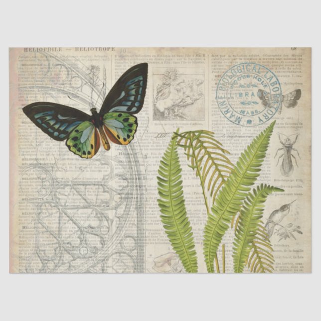 Papel de Decoupage de las Ephemeras de la mariposa (Anverso)