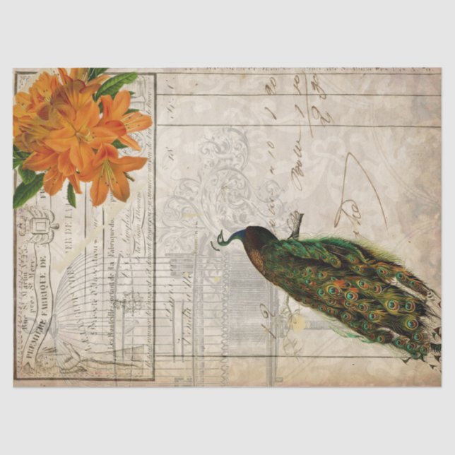 Papel de Decoupage de las Ephemeras del pavo real (Anverso)
