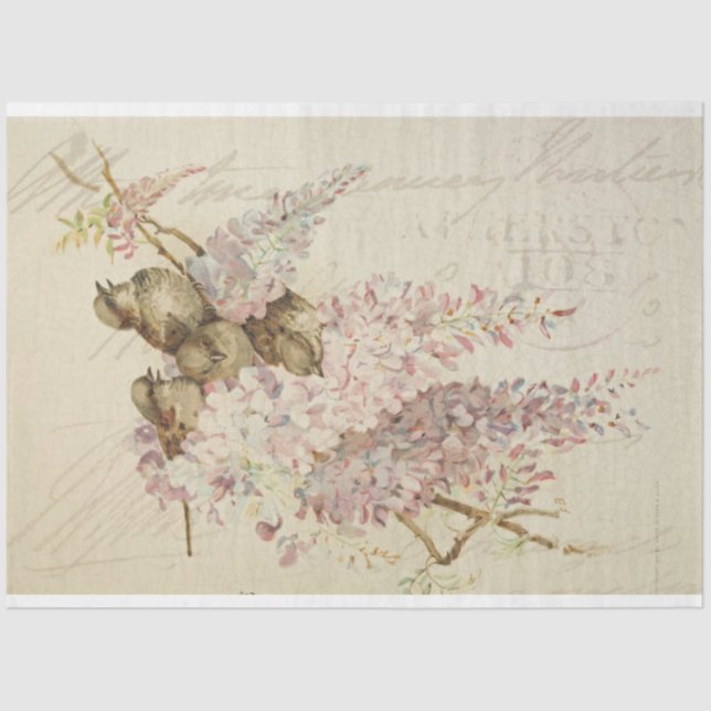 Papel de depilación de muebles de mugre dulce (Anverso)