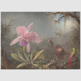 Papel de descodificación de iris y pájaro de barri