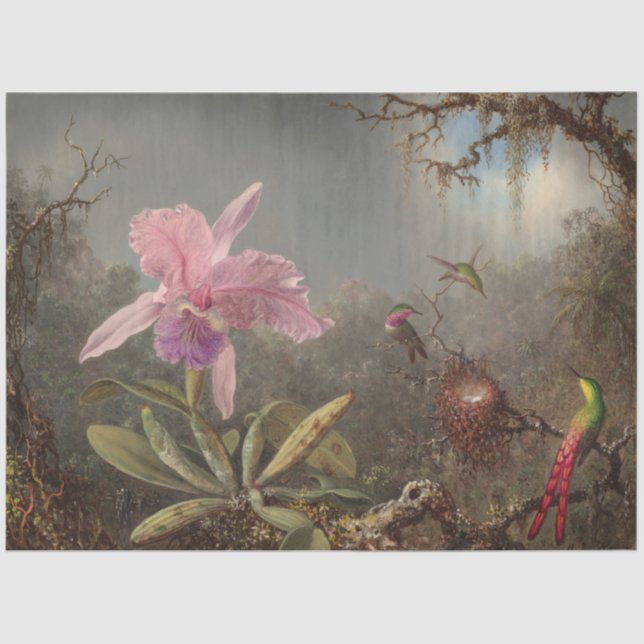 Papel de descodificación de iris y pájaro de barri (Anverso)