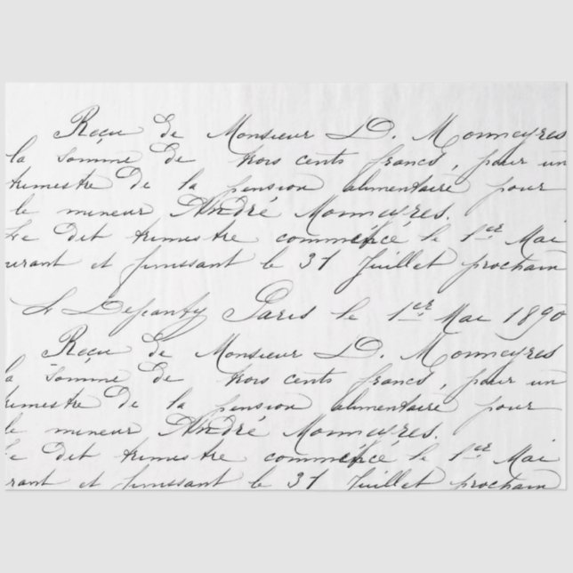 Papel de descodificación de secuencias de comandos (Anverso)