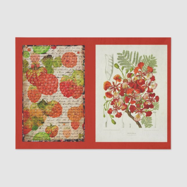 Papel de descomposición 10"x15" - Arte botánico 53 (Anverso)