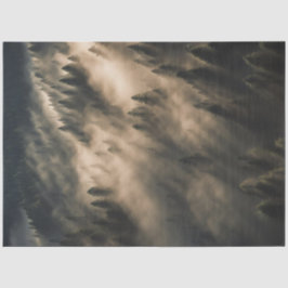 Papel de descomposición - Amanecer del bosque húme