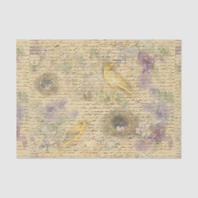 Papel de descomposición de aves amarillas de Pascu (Anverso)