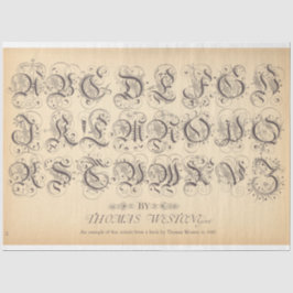 Papel de descomposición de balonmano