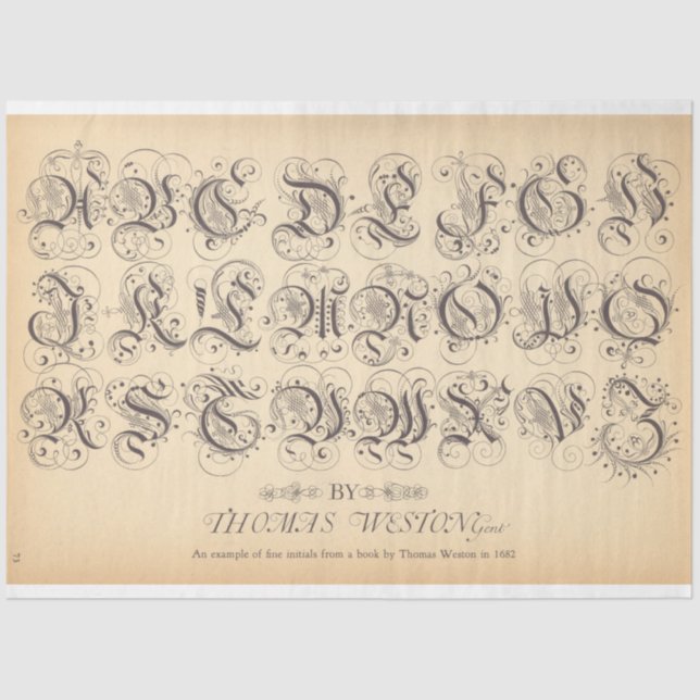 Papel de descomposición de balonmano (Anverso)