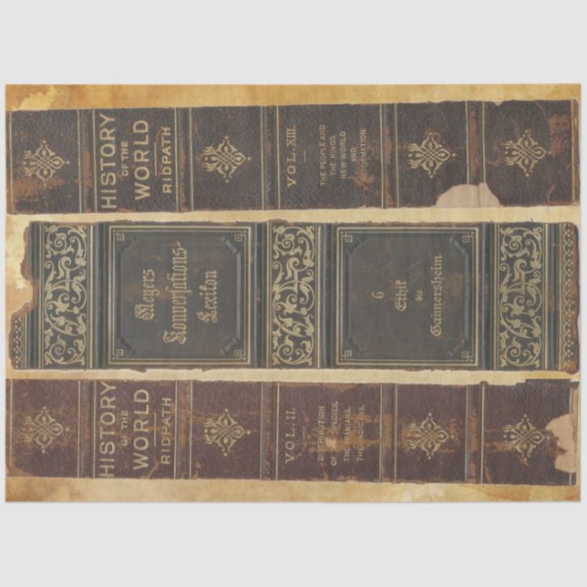 Papel de descomposición de columna de libro (Anverso)