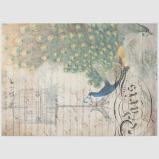 Papel de descomposición de Ephemera de pavo real a