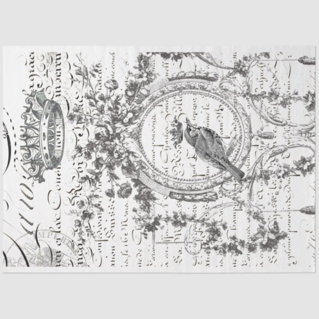 Papel de descomposición de escritura de pájaro (Anverso)