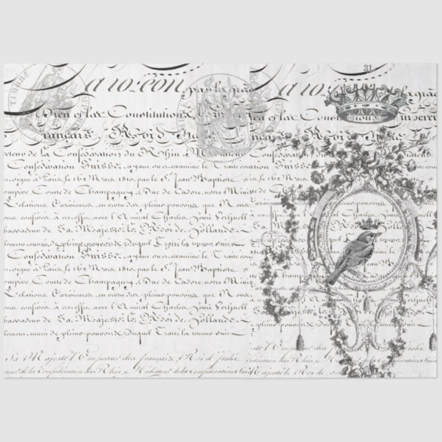 Papel de descomposición de guiones de pájaro horiz (Anverso)