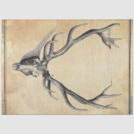 Papel de descomposición de la barra de herramienta