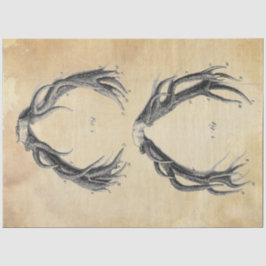 Papel de descomposición de la barra de herramienta