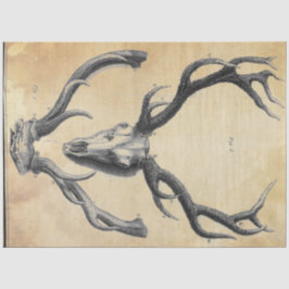 Papel de descomposición de la barra de herramienta