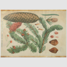 Papel de descomposición de la columna de Navidades