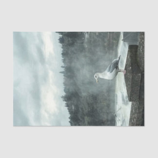 Papel de descomposición de la gaviota de Moody