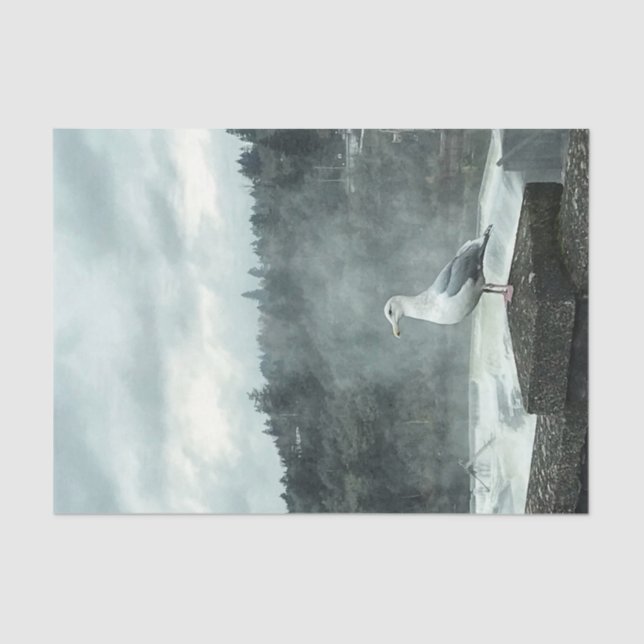 Papel de descomposición de la gaviota de Moody (Anverso)