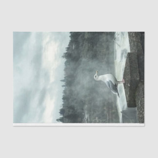 Papel de descomposición de la gaviota de Moody