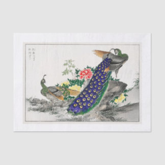 Papel de descomposición de pavo real