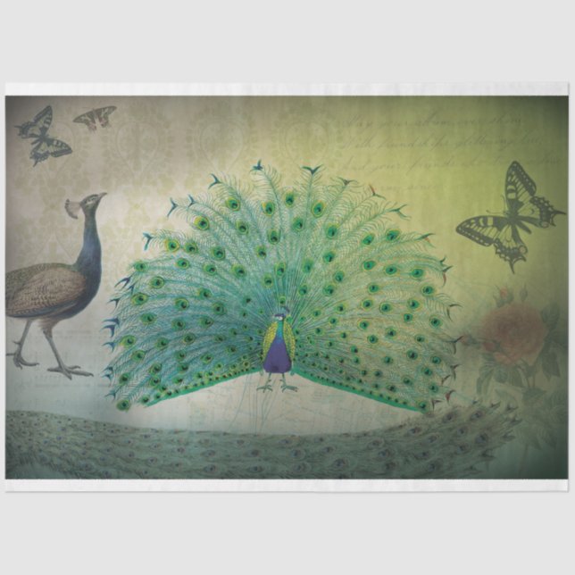 Papel de descomposición de pavo real (Anverso)