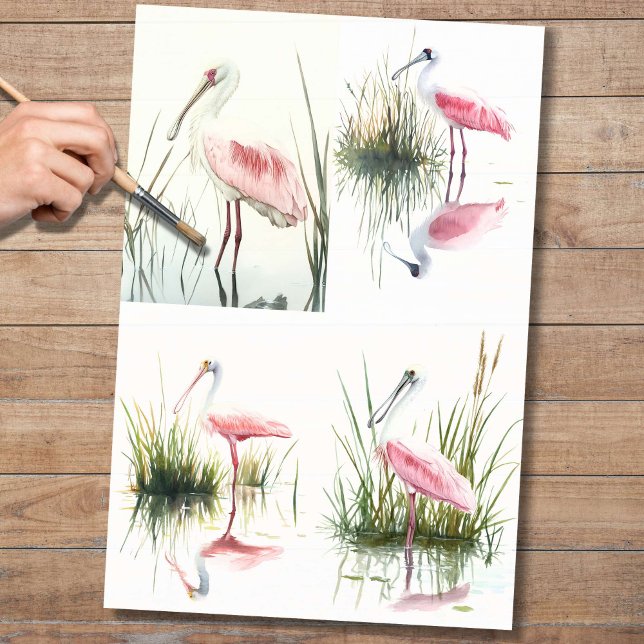 Papel de descomposición de Spoonbill Collage 2 (Subido por el creador)