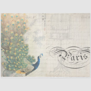 Papel de descomposición del éfemera de pavo real h