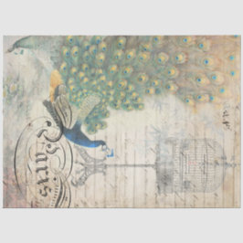 Papel de descomposición del epílogo del pavo real 