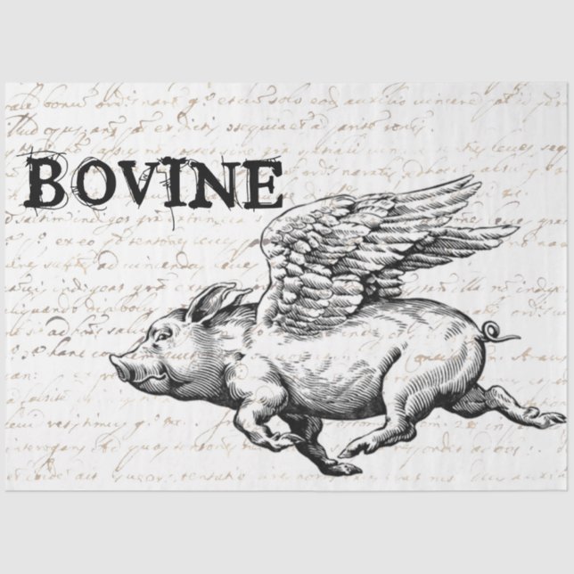 Papel de desconchado de cerdo volador (Anverso)