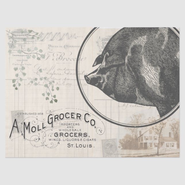 Papel de desconchado de cervecería de cerdo de gra (Anverso)