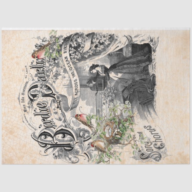 Papel de desconchado oscuro de Birdie (Anverso)