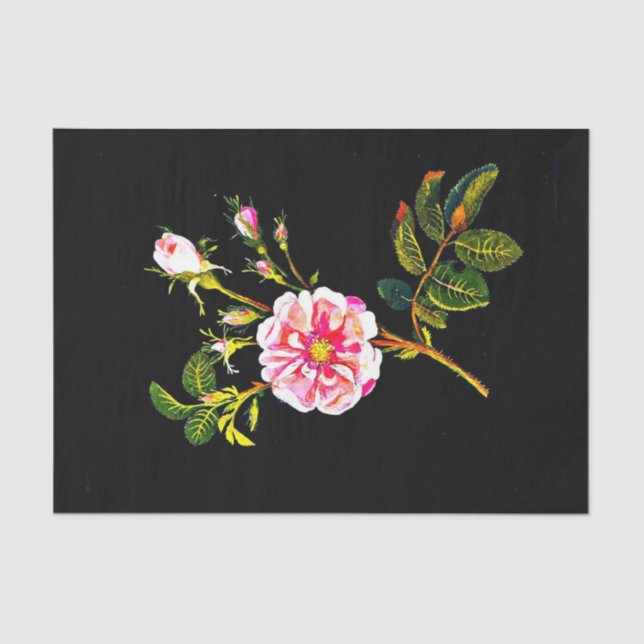 Papel de desconexión 10"x15" - Mary Delany 10 (Anverso)